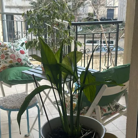 Elysee Darcy - Devosge Hyper Centre ,liberte Gare - ディジョン