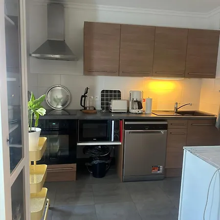 Apartment Elysee Darcy - Devosge Hyper Centre ,liberte Gare - *