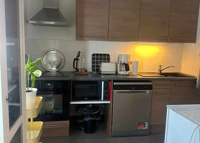 Lejlighed Elysee Darcy - Devosge Hyper Centre ,liberte Gare - *